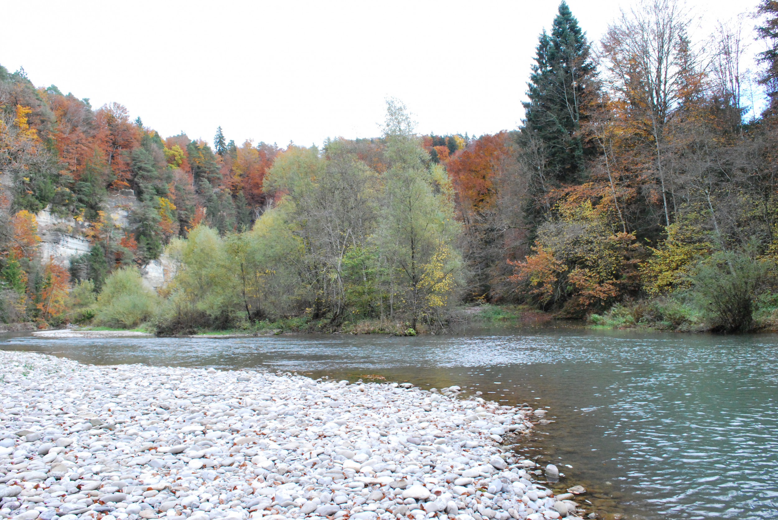 Die Saane im Herbst