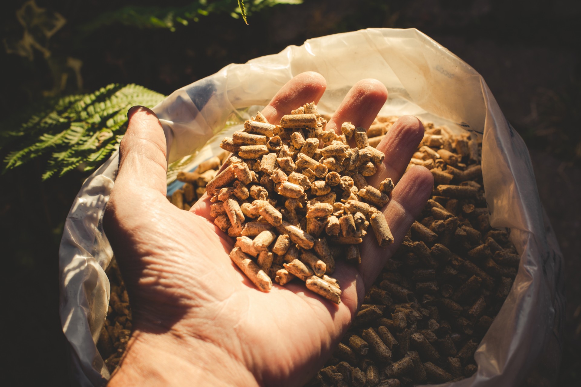 Holzpellets sind ein gängiger Brennstoff in Holzheizungen.