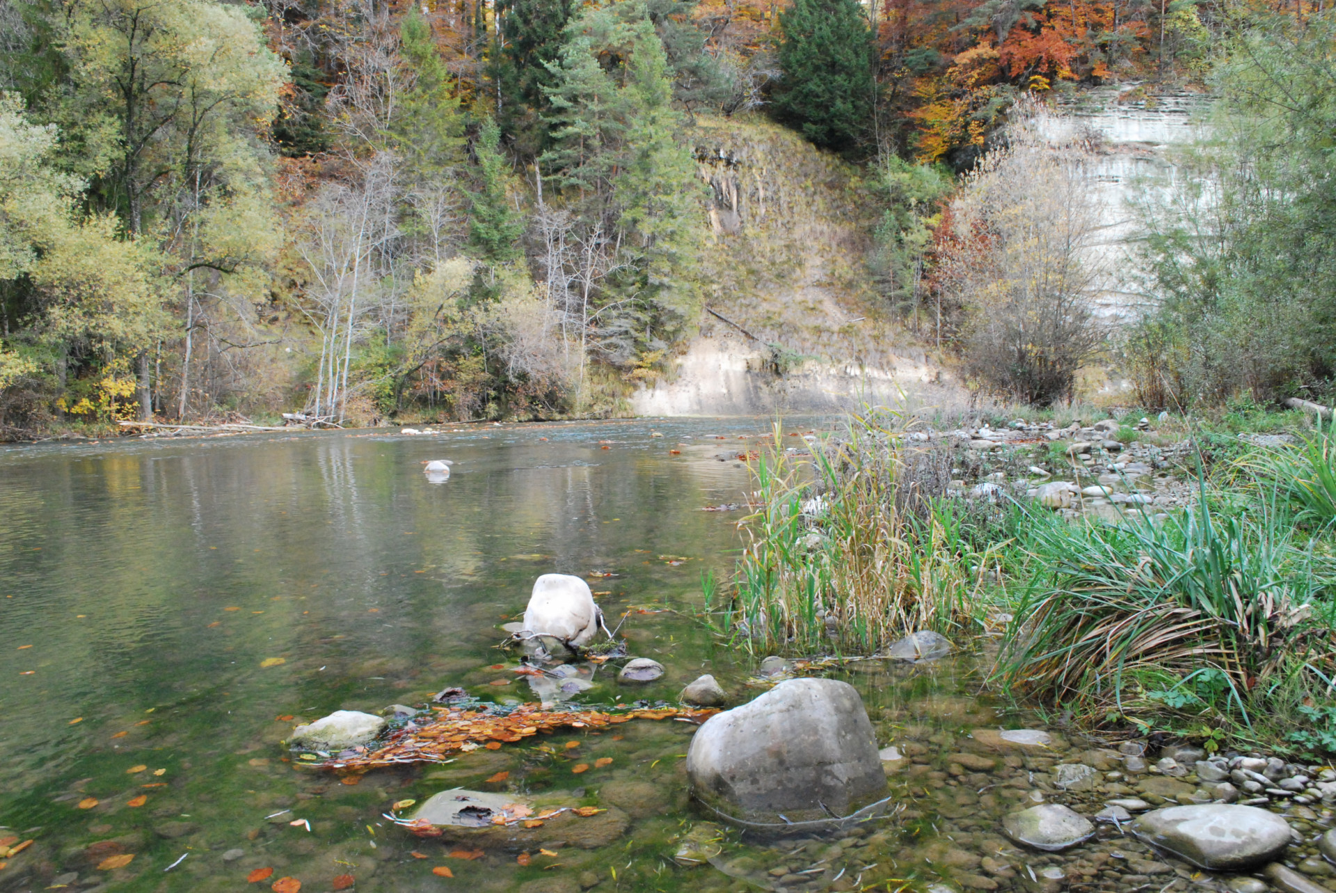 Idyllische Landschaft am Flusslauf der Saane.