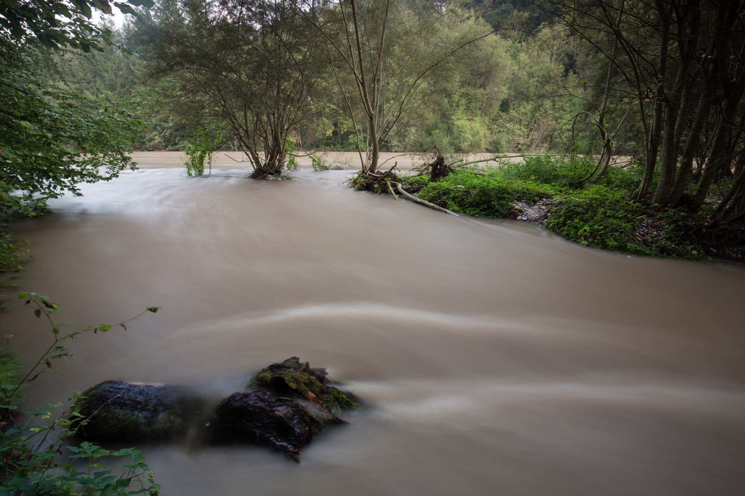 Die Langzeitbelichtung zeigt, wie sich das Wasser durch den Wald ergiesst.