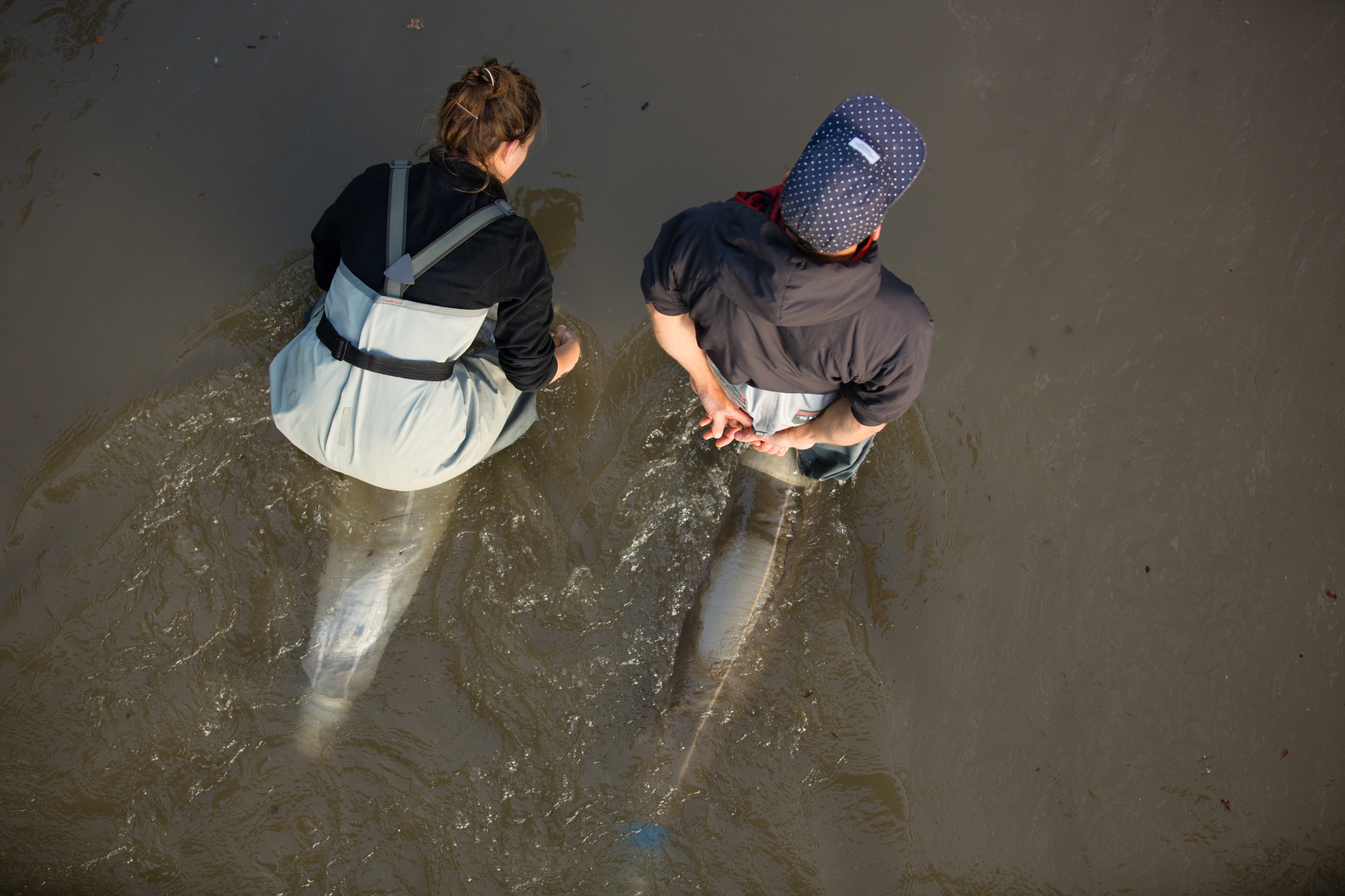 Researchers take samples in the river