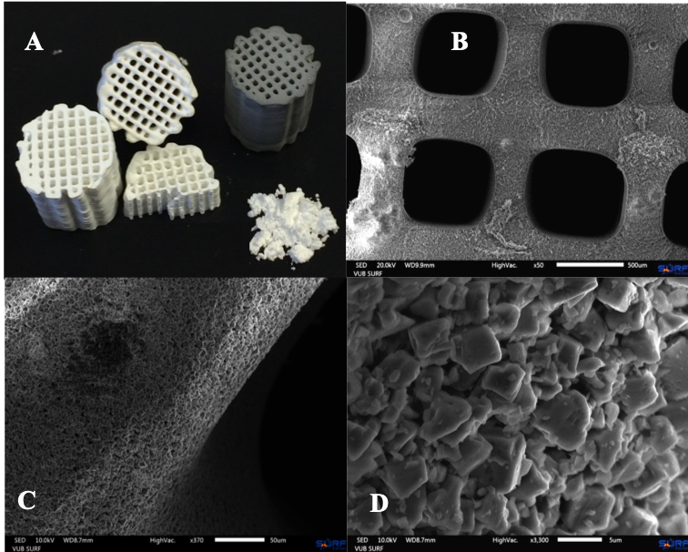 The 3D-printed sorption material: the electron microscope (images B to D) reveals the different microstructures. The larger pores (B) have a diameter of 650 micrometres, which is about two-thirds of a millimetre. In the largest magnification (D), the individual material crystals become visible.