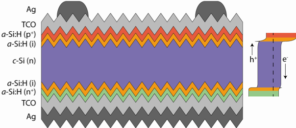 Similar to membranes in biological cells, intermediate layers are crucial for the efficient functioning of solar cells. Amorphous silicon layers (in red) optimize the cell voltage in silicon solar cells. But they also absorb light, which is why researchers are seeking to develop more transparent alternatives.