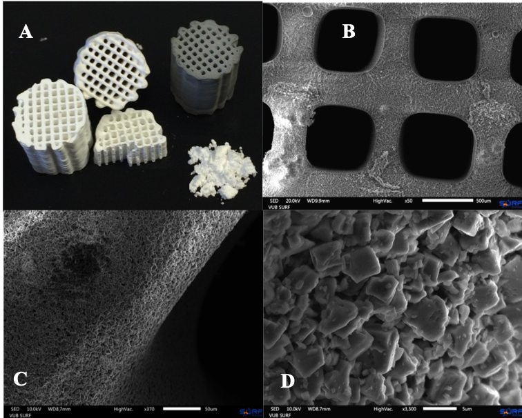 Le matériau de sorption produit par impression 3D : le microscope électronique (images B à D) met en évidence les différentes microstructures. Les pores les plus grands (B) ont un diamètre de 650 micromètres, soit environ deux tiers de millimètre. Avec le plus grand grossissement (D), les cristaux individuels du matériau deviennent visibles.