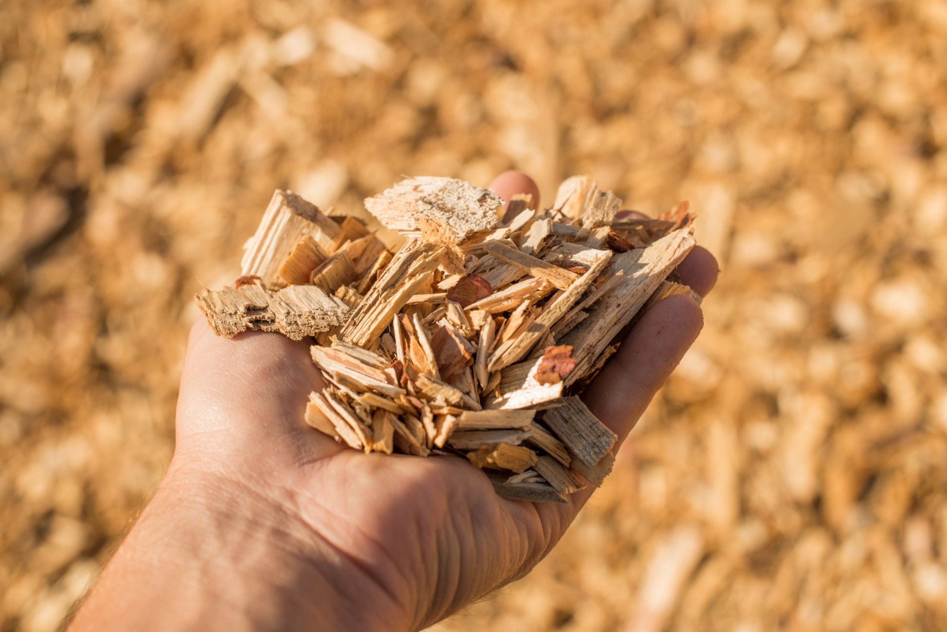 Les plaquettes de bois permettent une combustion propre.